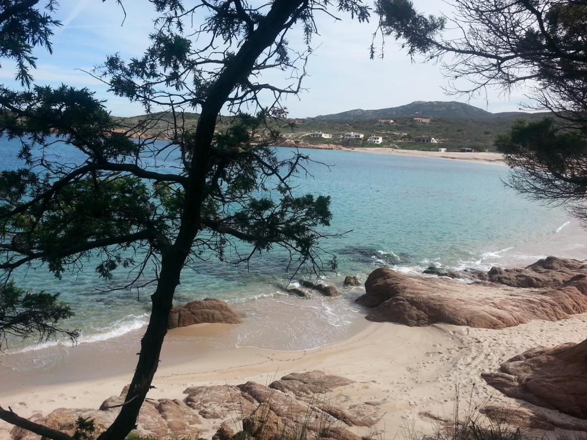 Ferienwohnung Fronte Mare Attico Indipendente Ed Esclusivo Con Terrazza Panoramica Isola Rossa Exterior foto